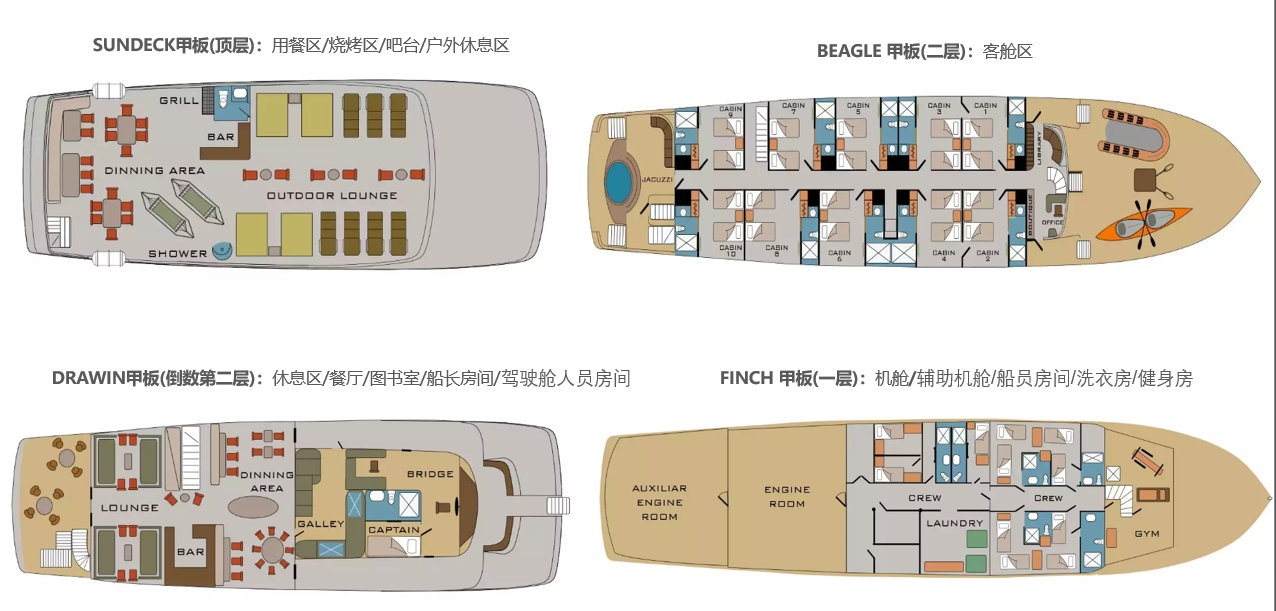 甲板分布 甲板分布