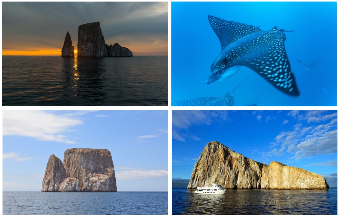 Leon Dormido Leon Dormido